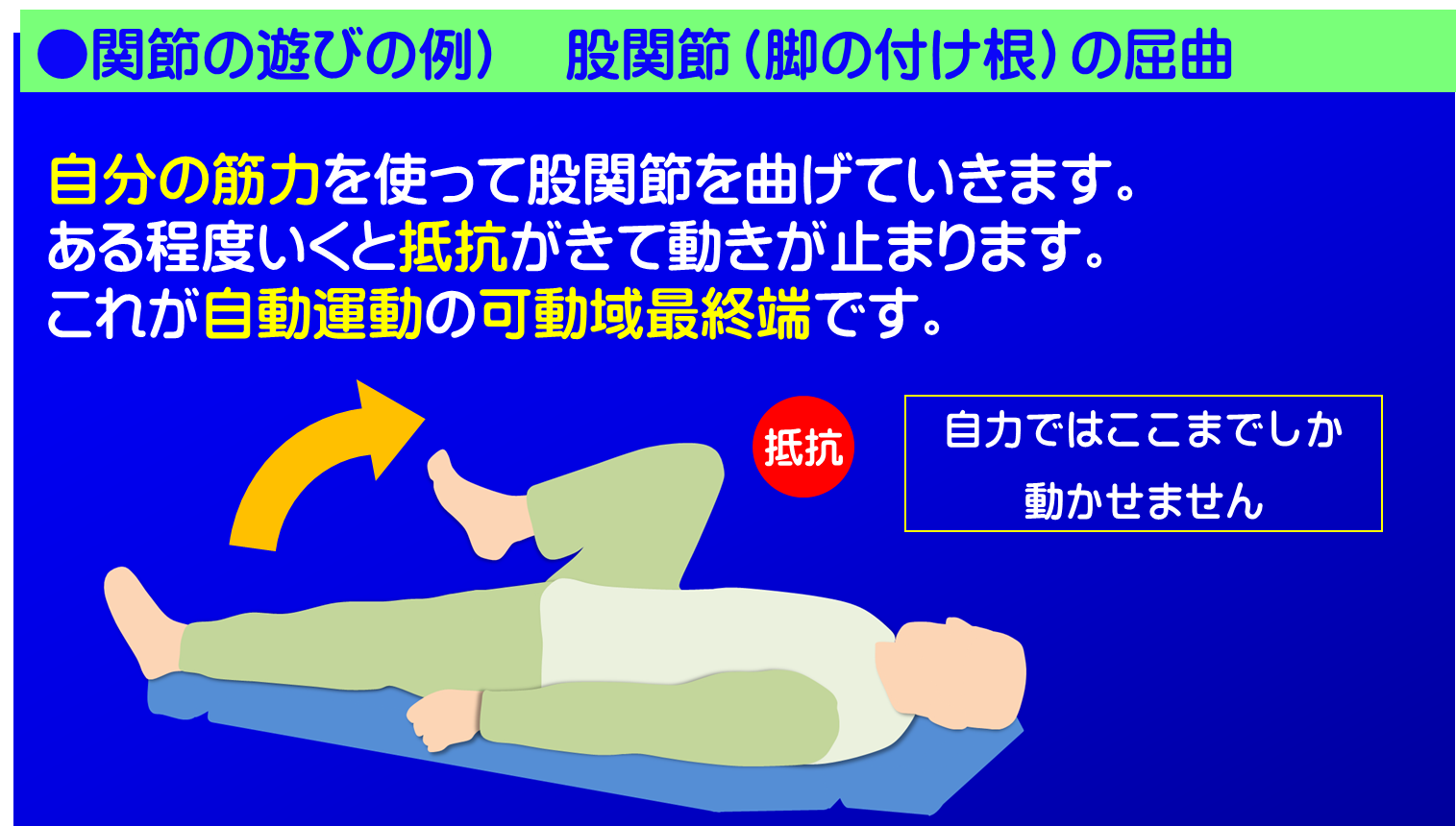 関節の遊びの説明例　股関節の屈曲-1／富士見台カイロプラクティックセンター