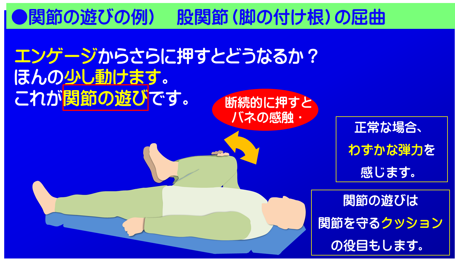 関節の遊びの説明例　股関節の屈曲-4／富士見台カイロプラクティックセンター