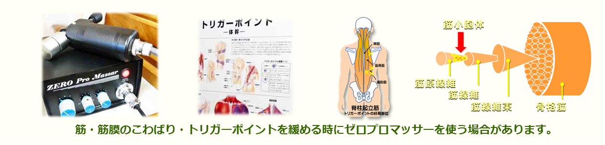 富士見台カイロプラクティックセンター／ゼロプロマッサーは筋膜・筋肉・皮膚に高速微振動（1分間に最大8000回振動）を与える業務用マッサージャーです