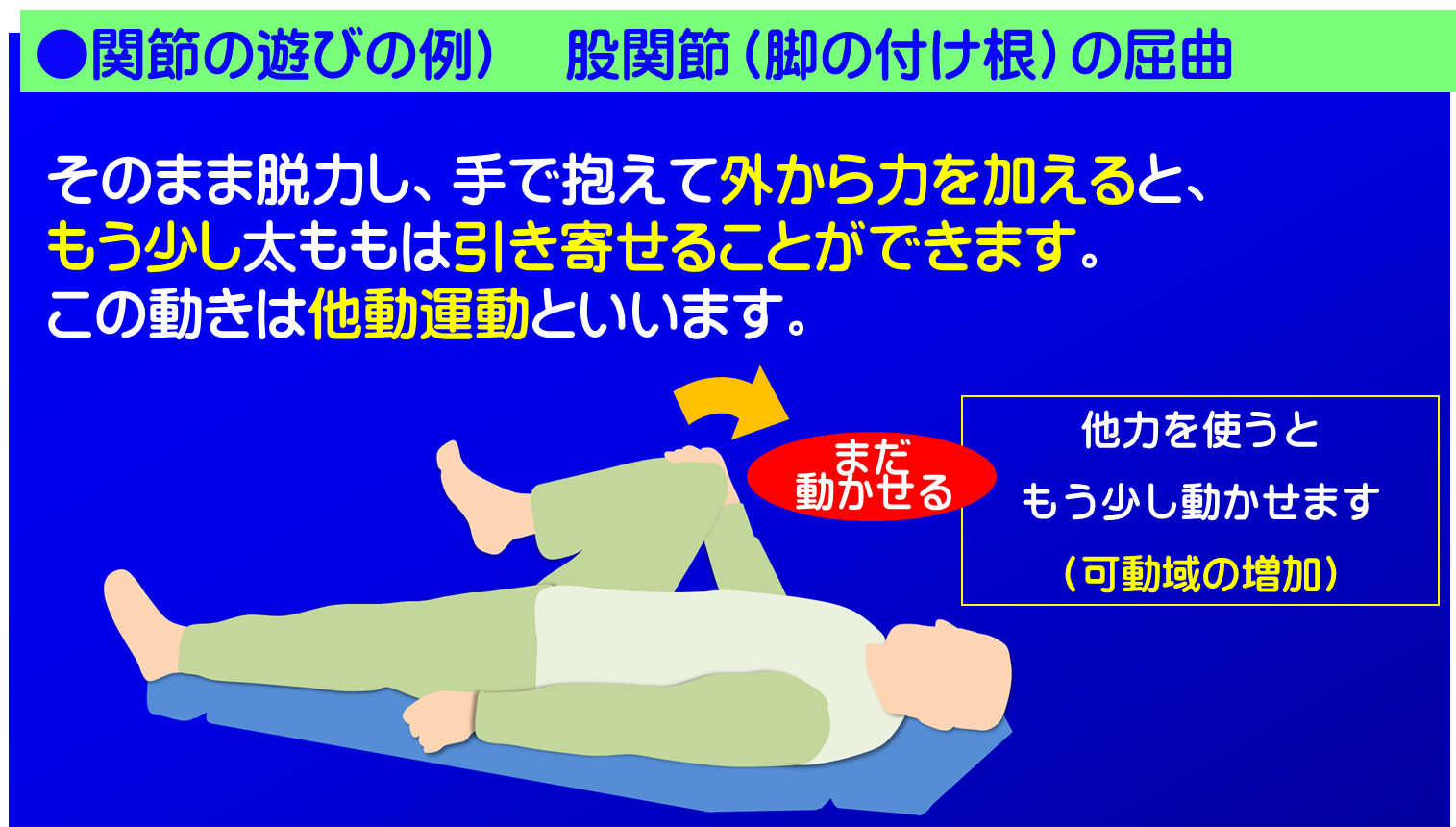 関節の遊びの説明例　股関節の屈曲-2／富士見台カイロプラクティックセンター