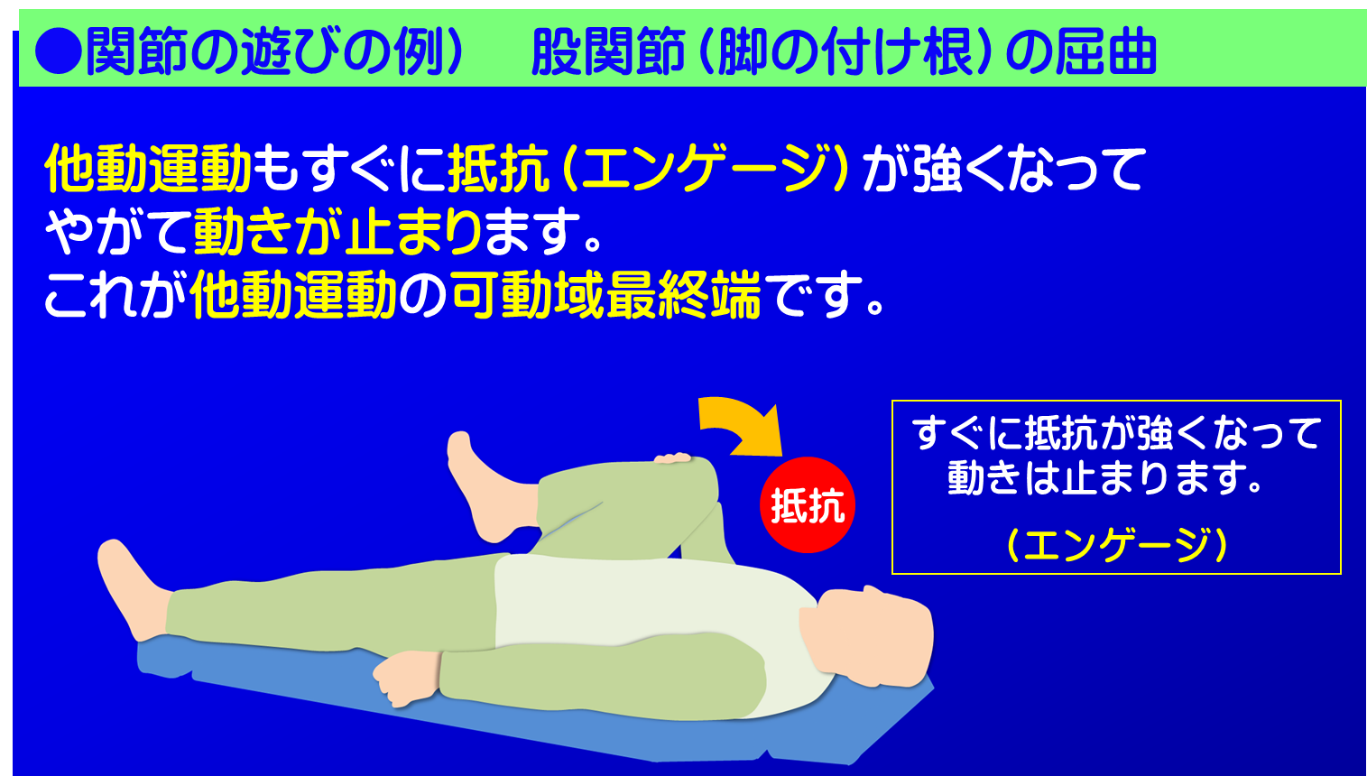 関節の遊びの説明例　股関節の屈曲-3／富士見台カイロプラクティックセンター