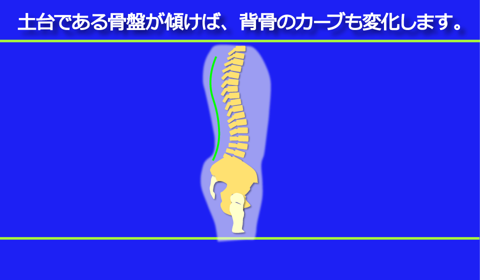 練馬の整体】 富士見台カイロプラクティックセンター | トリガー
